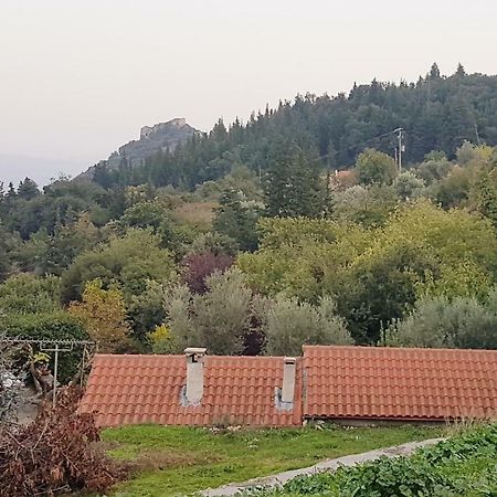 Luxury House In The Hills Guest House Sparta Luaran gambar