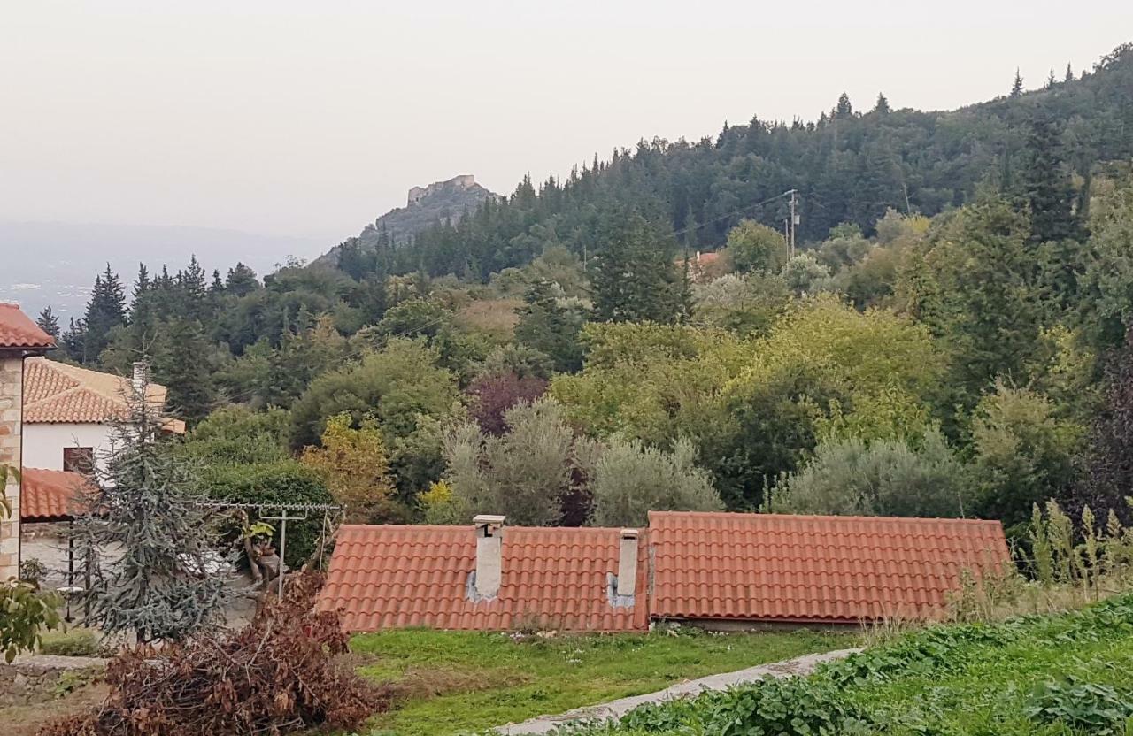 Luxury House In The Hills Guest House Sparta Luaran gambar